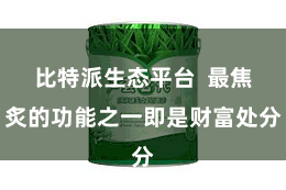 比特派生态平台  最焦炙的功能之一即是财富处分