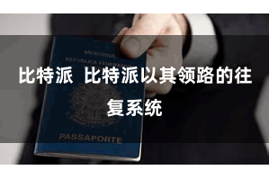 比特派  比特派以其领路的往复系统