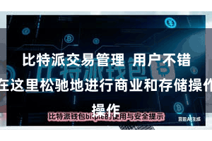 比特派交易管理  用户不错在这里松驰地进行商业和存储操作