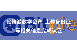 比特派数字资产  上传身份证等相关信息完成认证