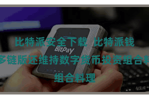 比特派安全下载  比特派钱包多链版还维持数字货币投资组合料理