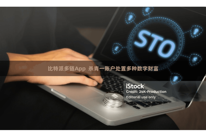 比特派多链App  杀青一账户处置多种数字财富