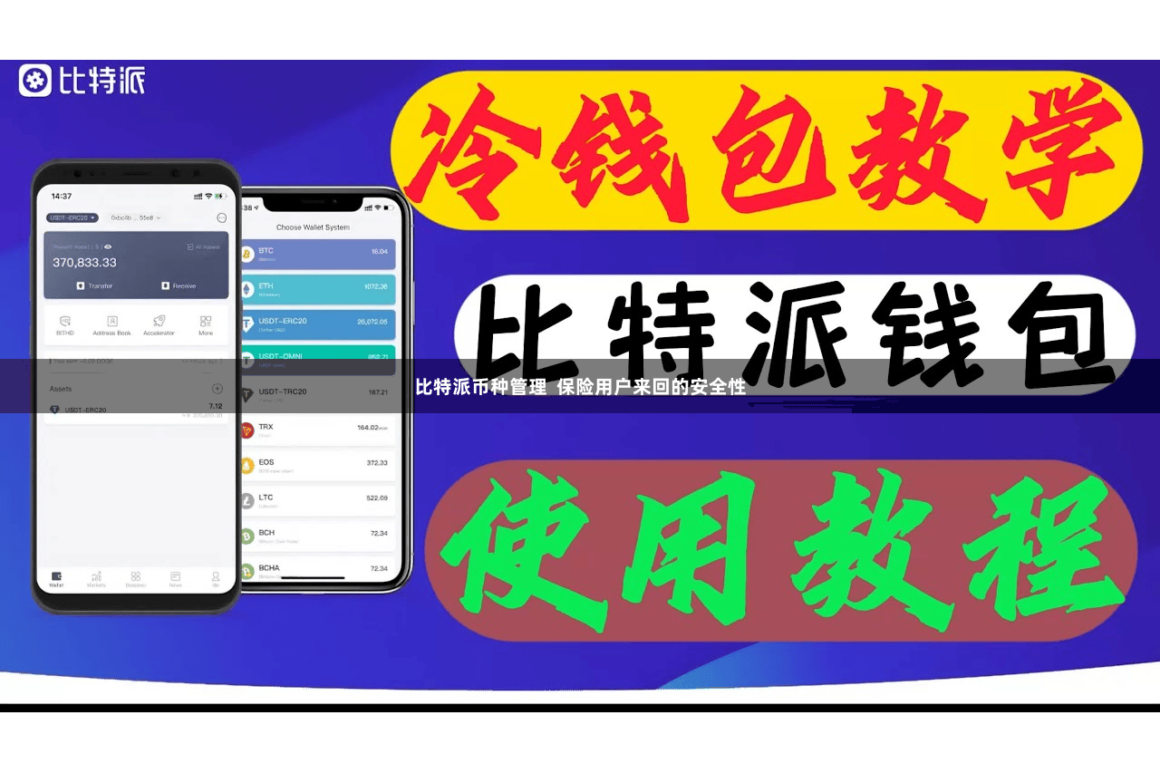 比特派币种管理  保险用户来回的安全性