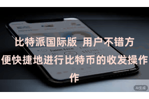 比特派国际版  用户不错方便快捷地进行比特币的收发操作