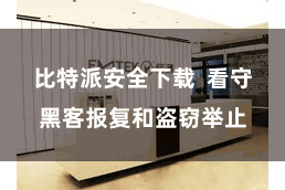 比特派安全下载  看守黑客报复和盗窃举止
